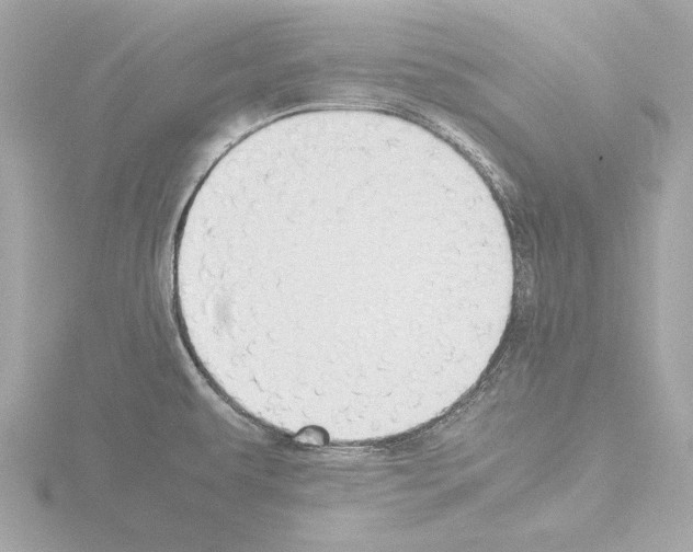 X0000115511479200912181435