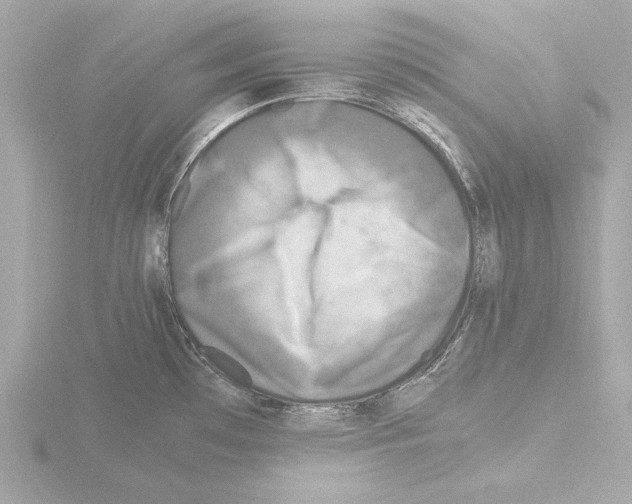 X0000115511481200912181435