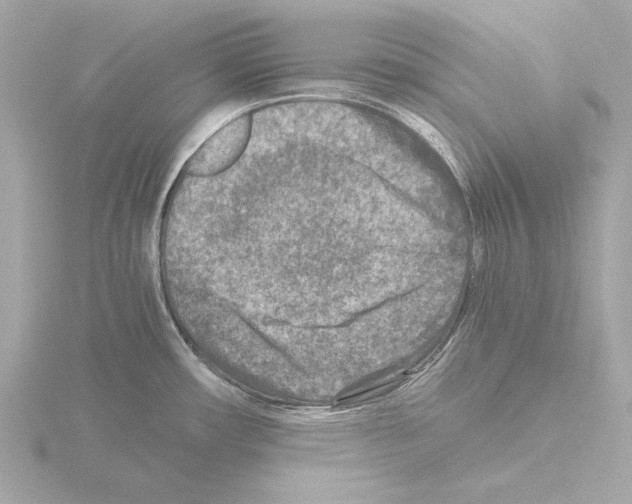 X0000115511482200912181435