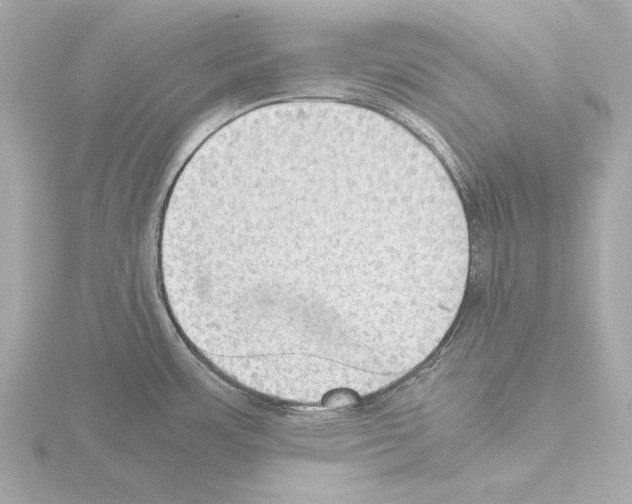 X0000115511483200912181435