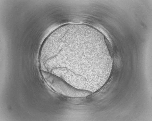 X0000115511485200912181435