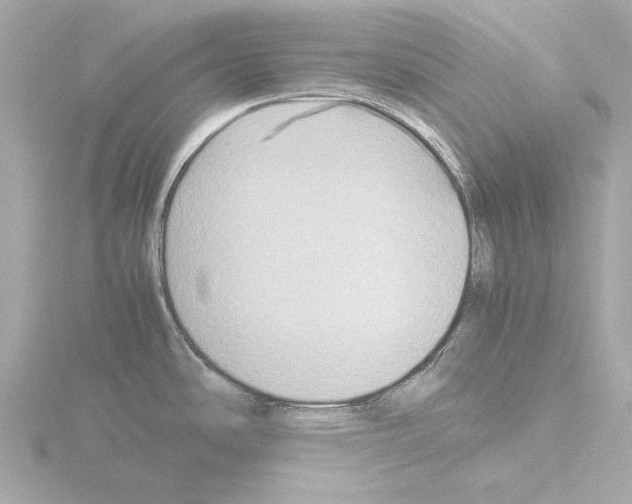 X0000115511486200912181435