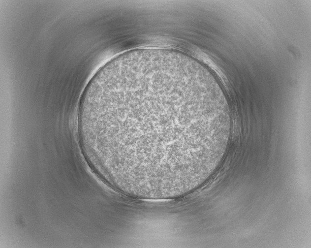 X0000115511487200912181435