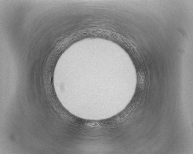 X0000115511489200912181434