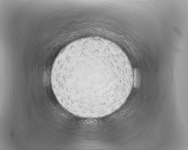 X0000115511491200912181434