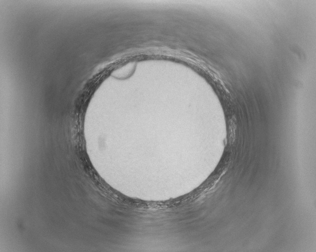 X0000115511494200912181434