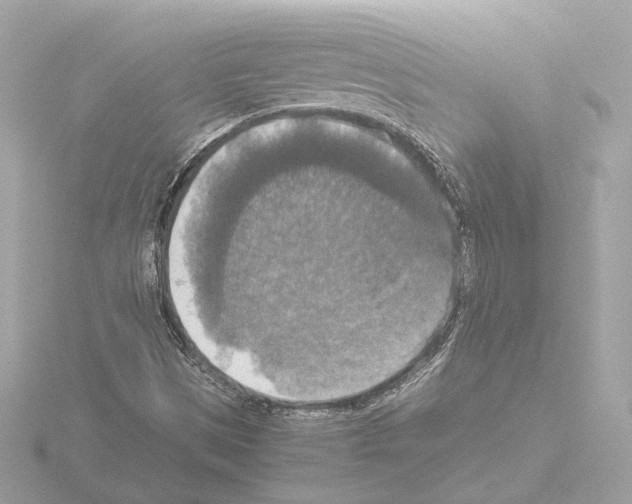 X0000115511497200912181434