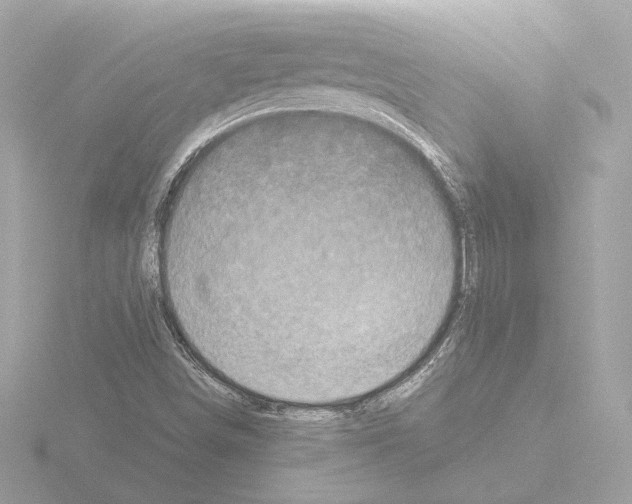 X0000115511498200912181434