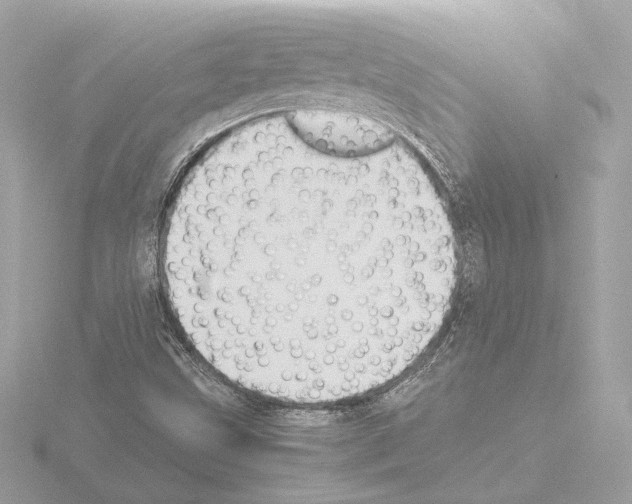 X0000115511499200912181434