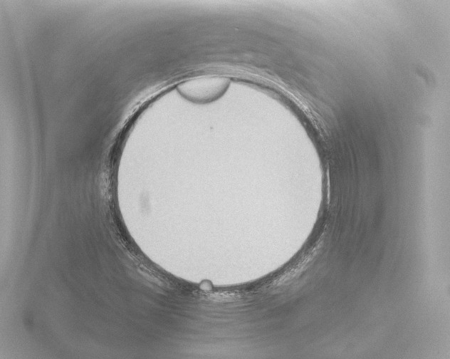 X0000115511501200912181434