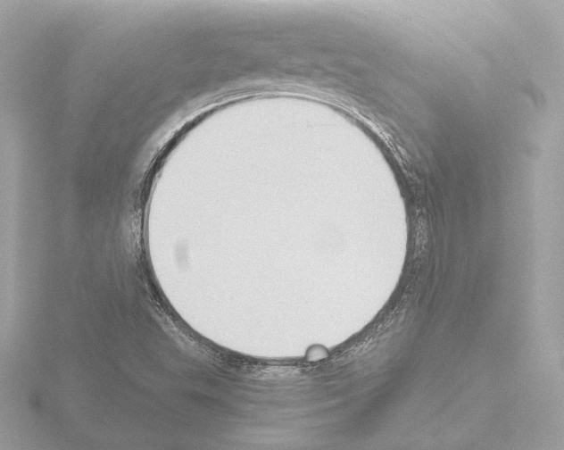 X0000115511503200912181434