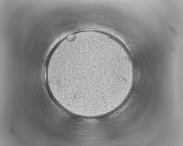 X0000115511509200912181434