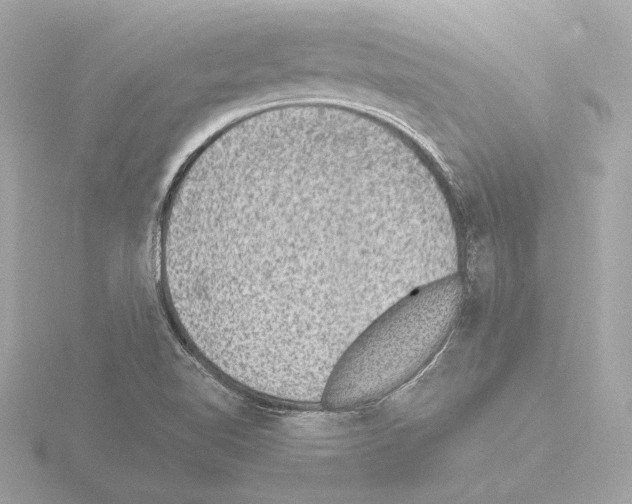 X0000115511510200912181434