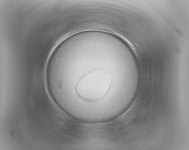 X0000115511514200912181434