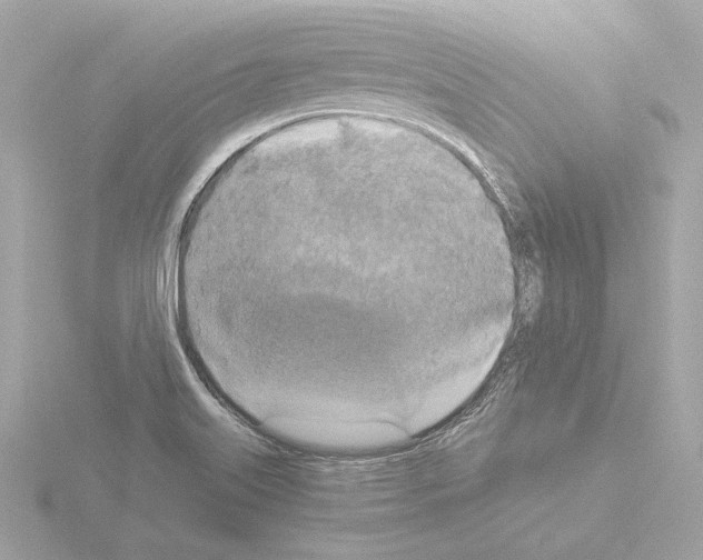 X0000115511515200912181434