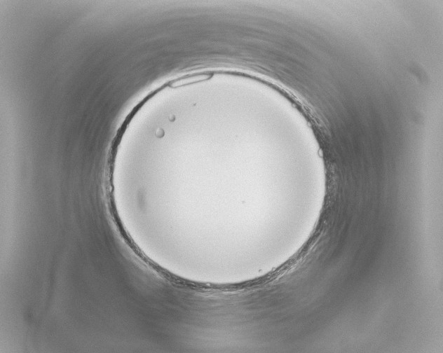 X0000115511518200912181434