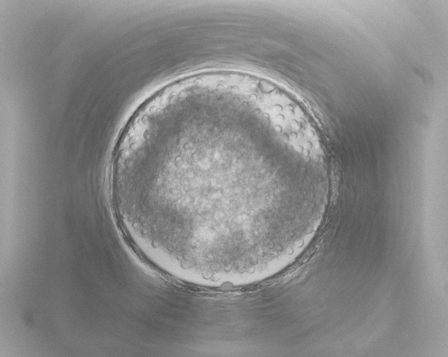 X0000115511519200912181434