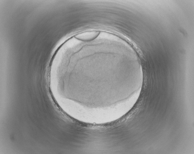 X0000115511522200912181434