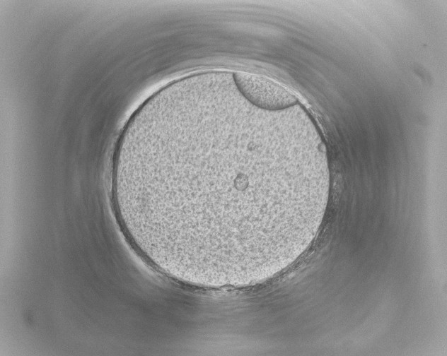 X0000115511523200912181434