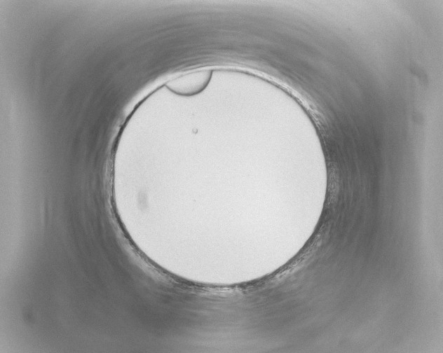 X0000115511526200912181434