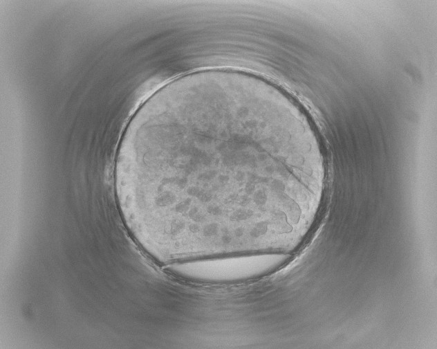 X0000115511529200912181434