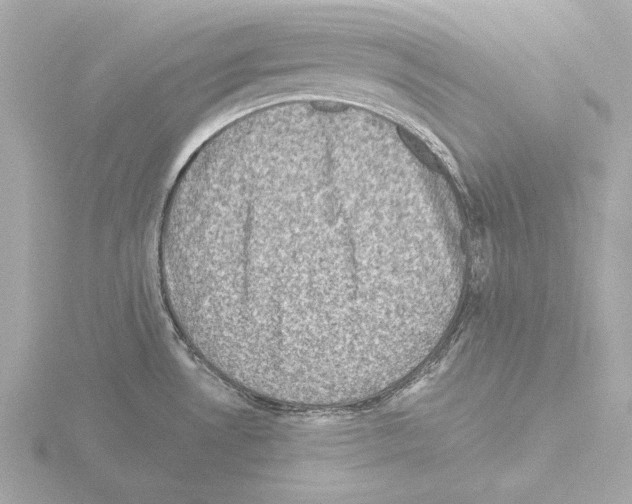 X0000115511530200912181434