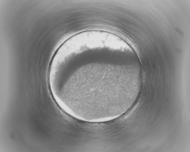 X0000115511533200912181434