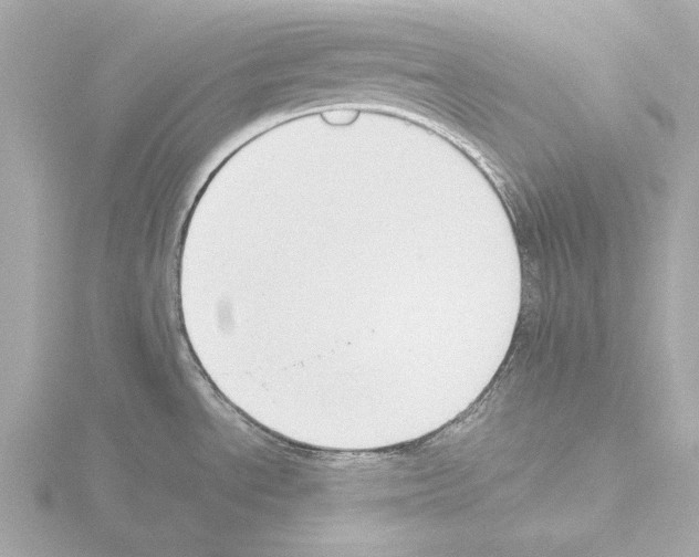 X0000115511534200912181435