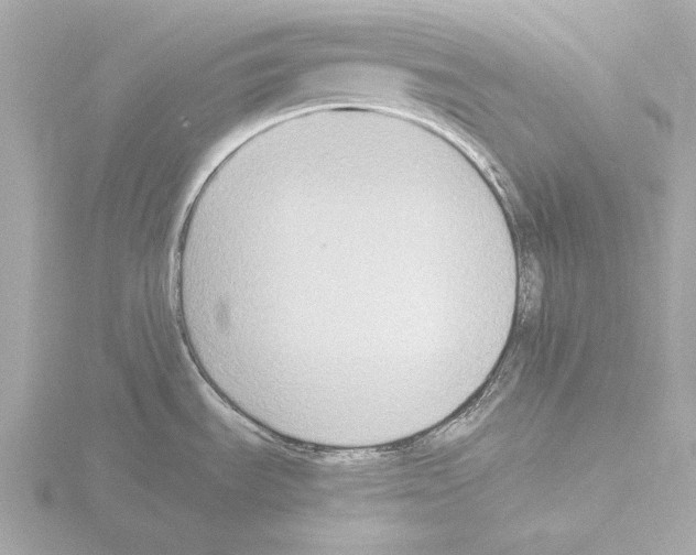 X0000115511535200912181435