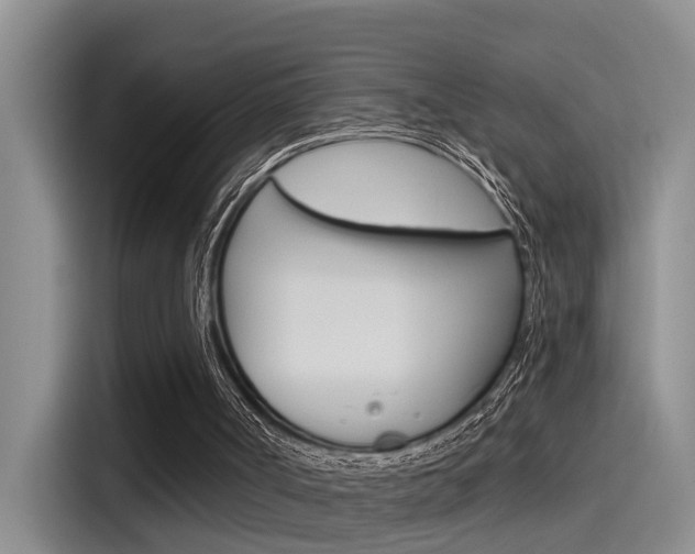 X0000115520002200911061032