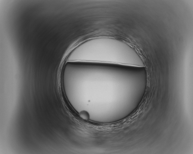 X0000115520004200911061032