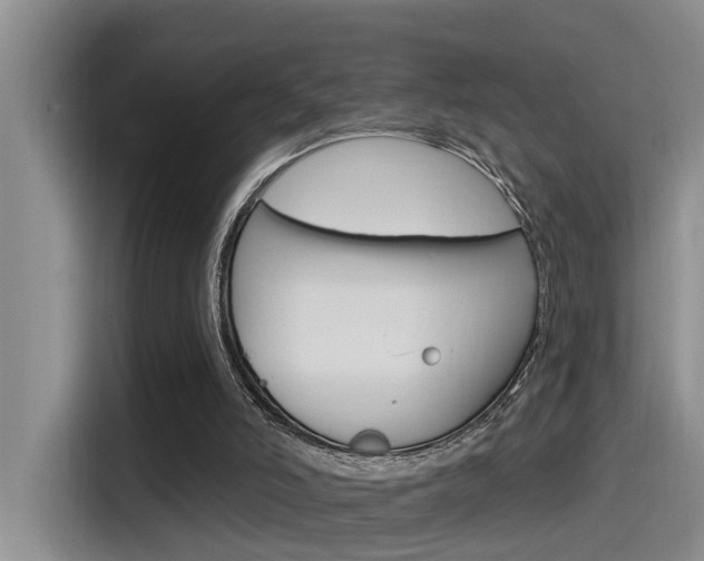 X0000115520006200911061032
