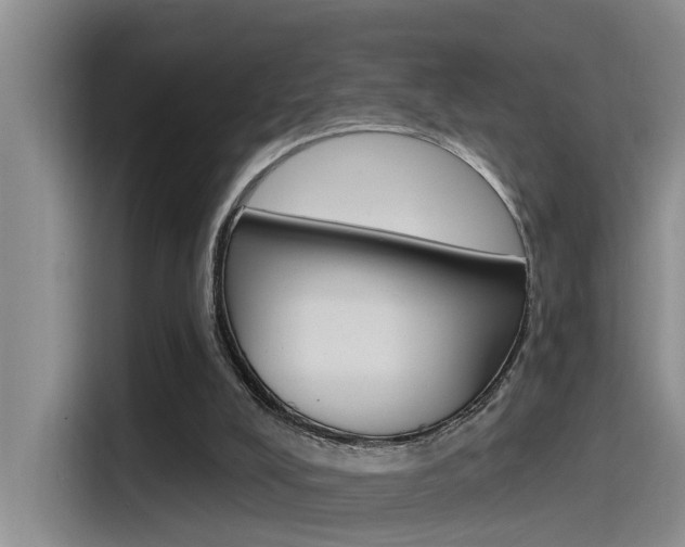 X0000115520008200911061032
