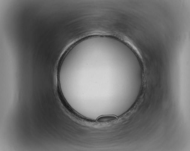 X0000115520011200911061032