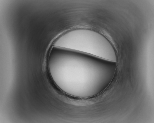 X0000115520012200911061032