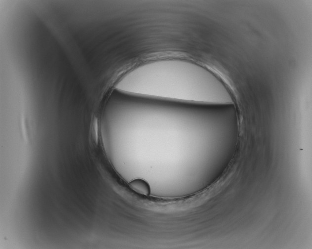 X0000115520013200911061032