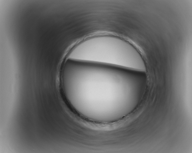 X0000115520015200911061032