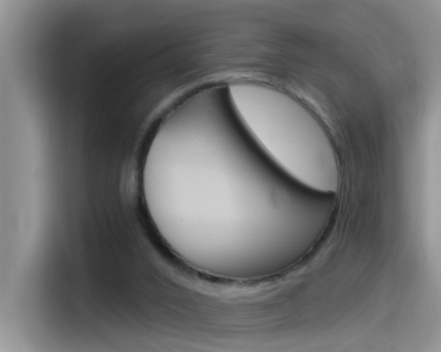 X0000115520016200911061032