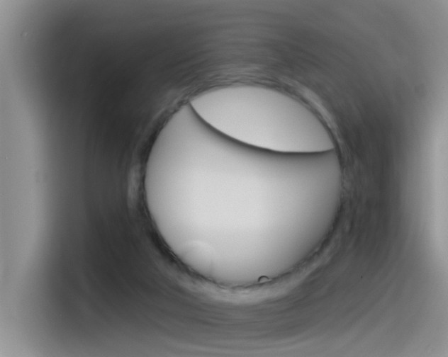 X0000115520018200911061032