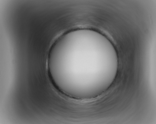 X0000115520019200911061032