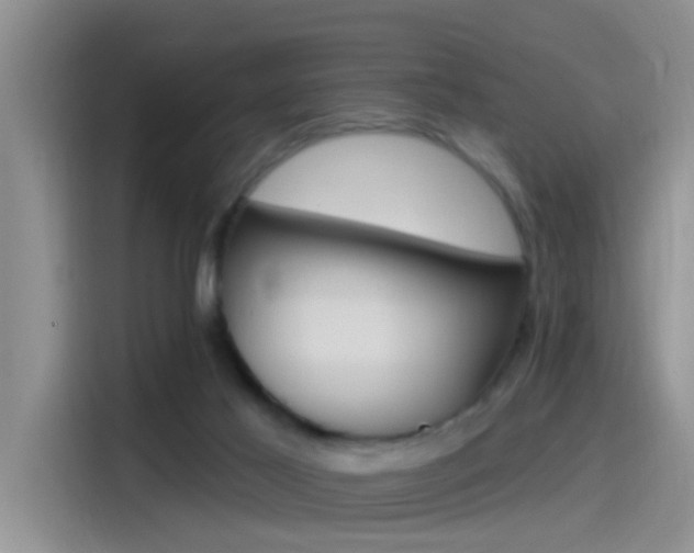 X0000115520021200911061032