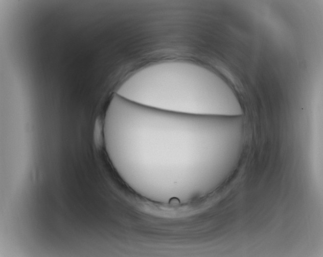 X0000115520022200911061032