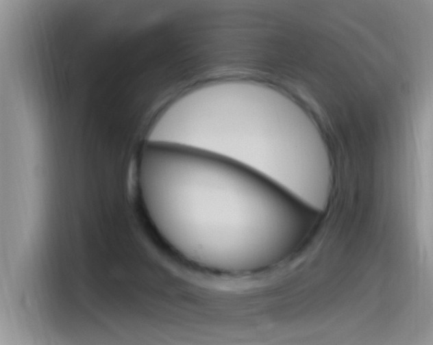 X0000115520024200911061032