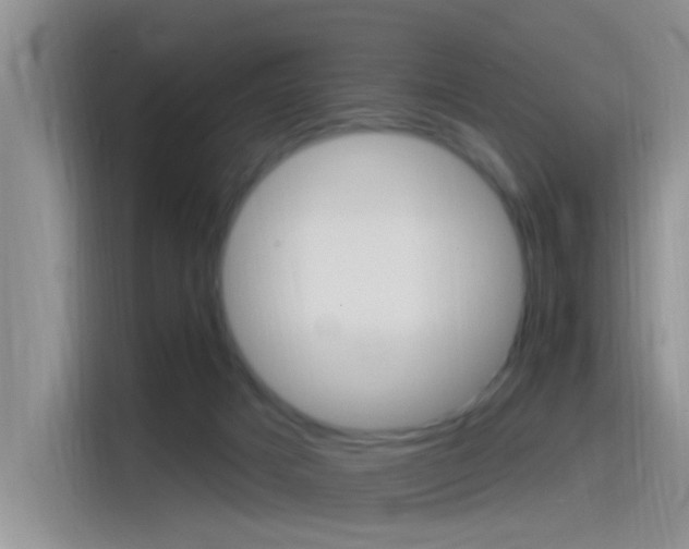 X0000115520025200911061032