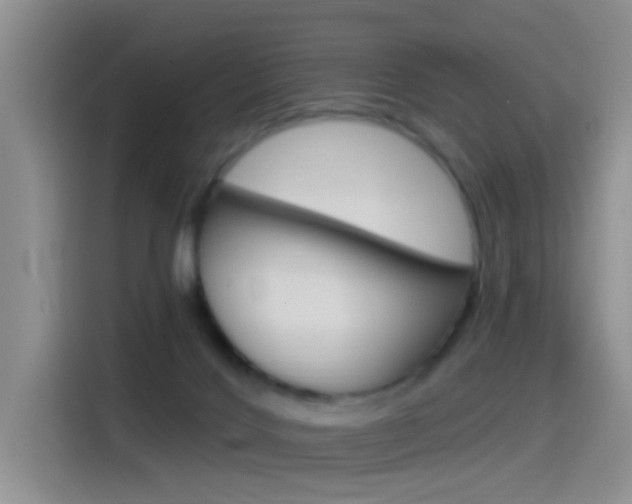 X0000115520028200911061032