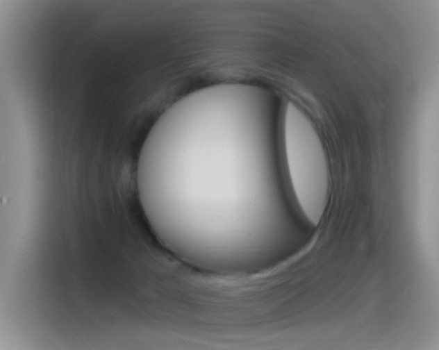 X0000115520029200911061032