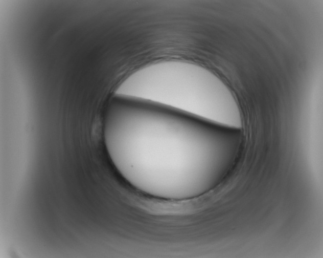 X0000115520036200911061032