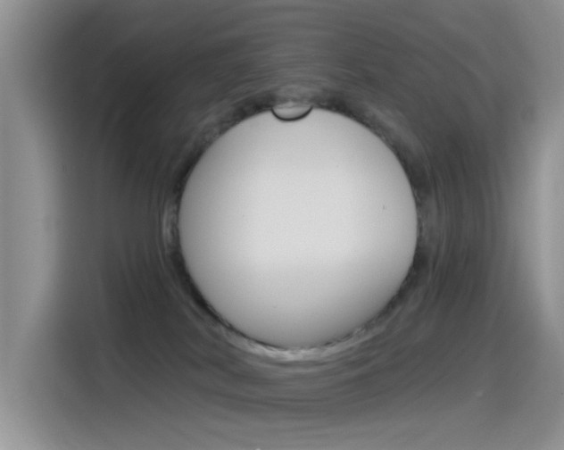 X0000115520038200911061032