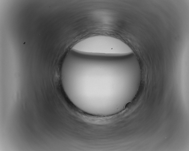 X0000115520040200911061032