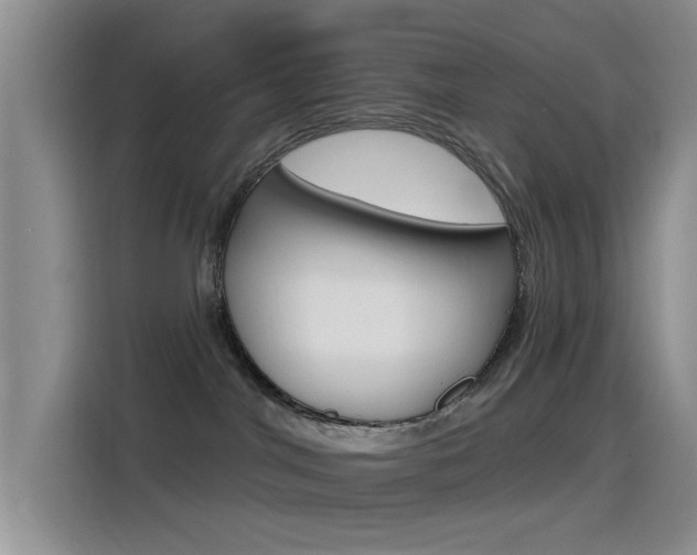 X0000115520044200911061032
